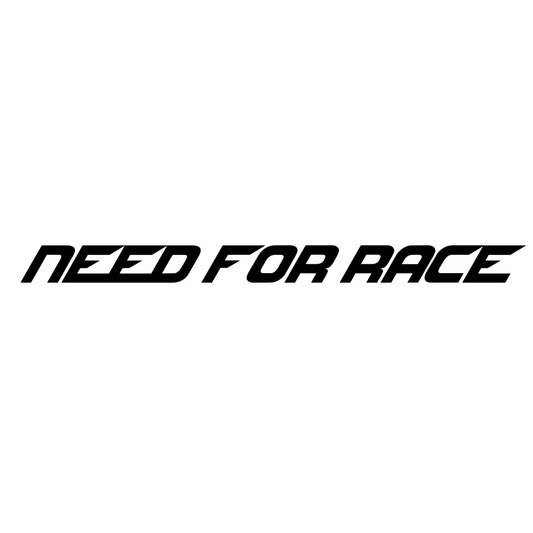NEEDE FOR RACE