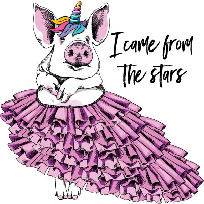 PIG FROM THE STARS
